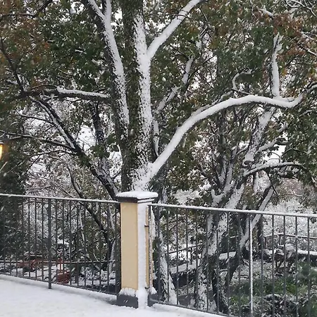 Oda ve Kahvaltı Le Querce Dell'etna