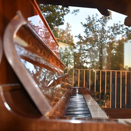 Le Querce Dell'etna Bed & Breakfast *