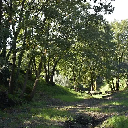 Le Querce Dell'etna *
