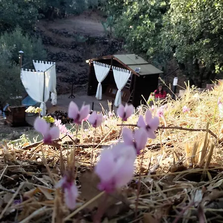 Le Querce Dell'etna לינה וארוחת בוקר Ragalna