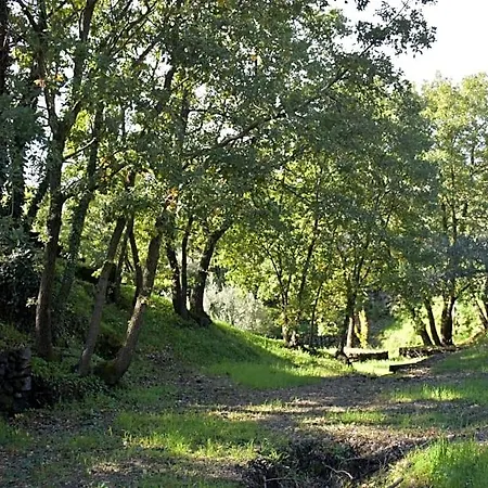 Le Querce Dell'etna Отель типа 