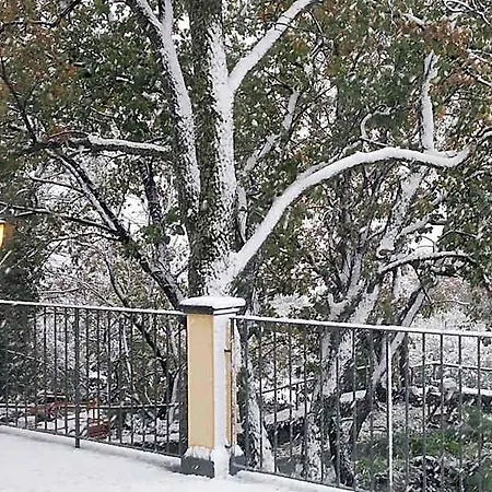 Le Querce Dell'etna